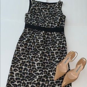 Ann Taylor Dress